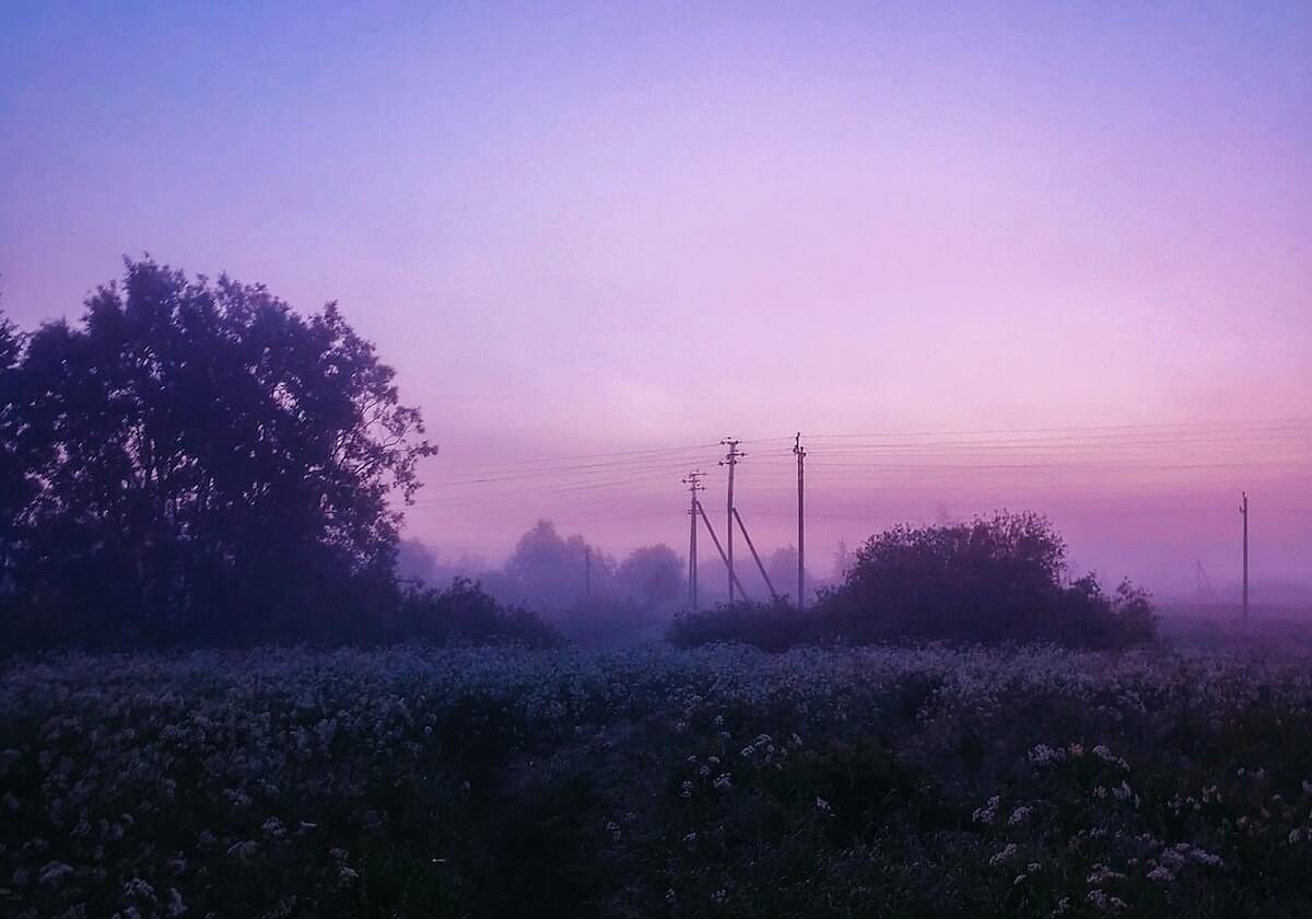 星空影视引发的热门讨论，星空影视可信吗