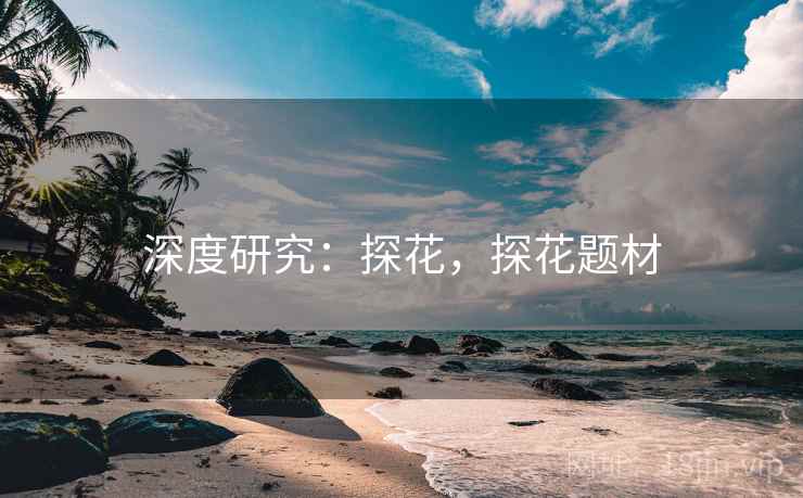 深度研究：探花，探花题材
