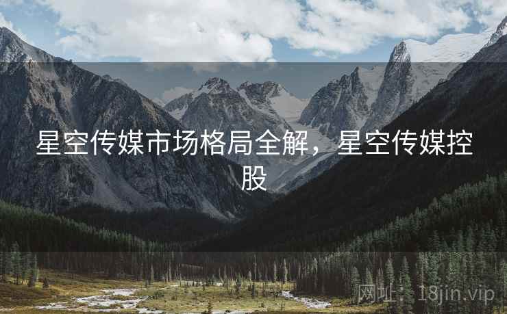 星空传媒市场格局全解，星空传媒控股
