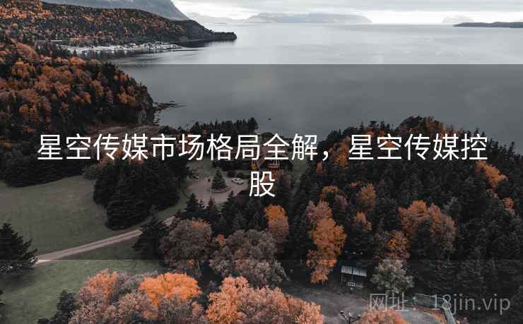 星空传媒市场格局全解，星空传媒控股