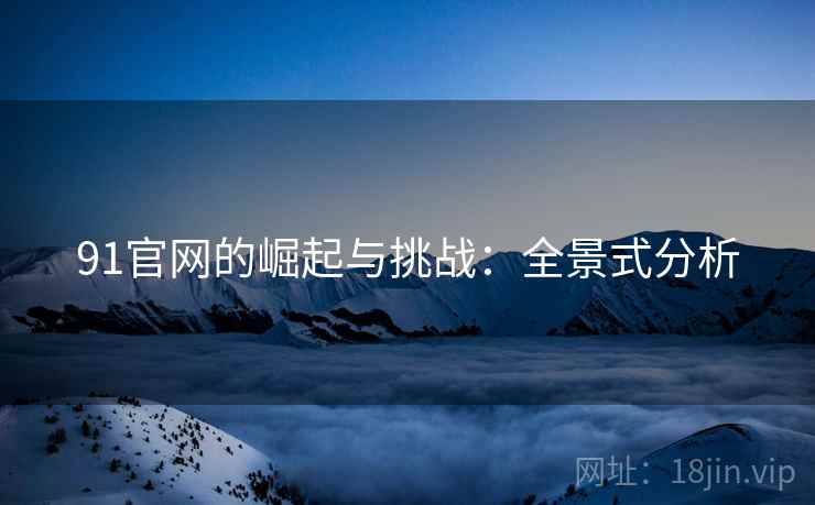 91官网的崛起与挑战：全景式分析