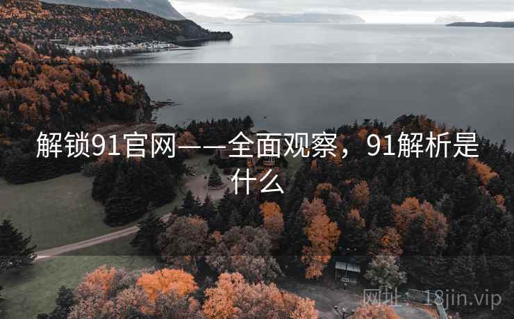 解锁91官网——全面观察，91解析是什么