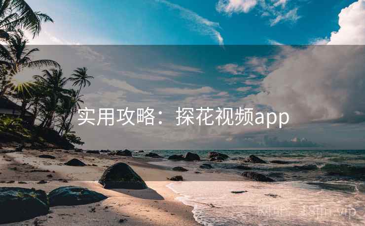 实用攻略：探花视频app