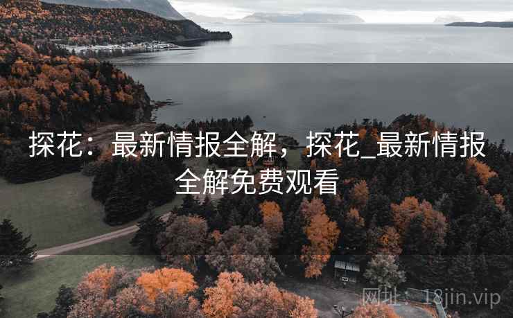 探花：最新情报全解，探花_最新情报全解免费观看