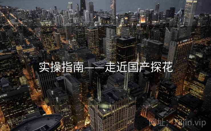 实操指南——走近国产探花