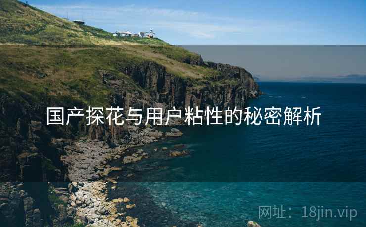 国产探花与用户粘性的秘密解析