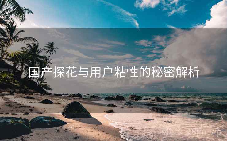 国产探花与用户粘性的秘密解析