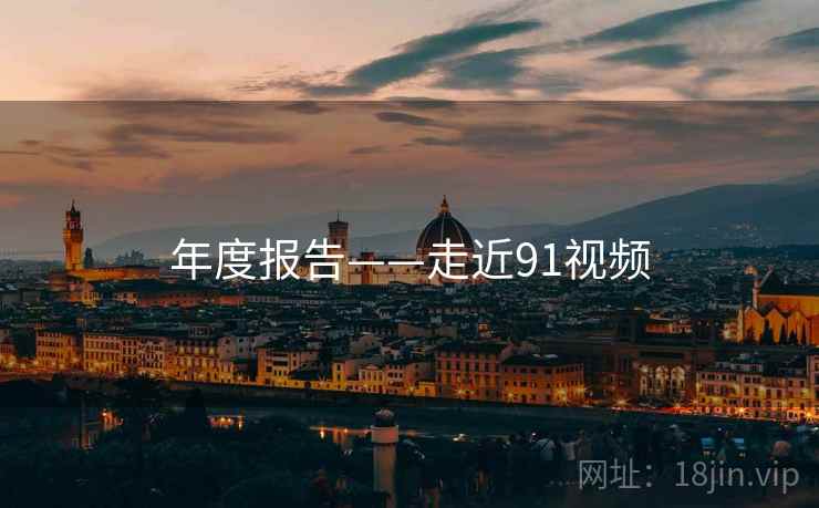 年度报告——走近91视频