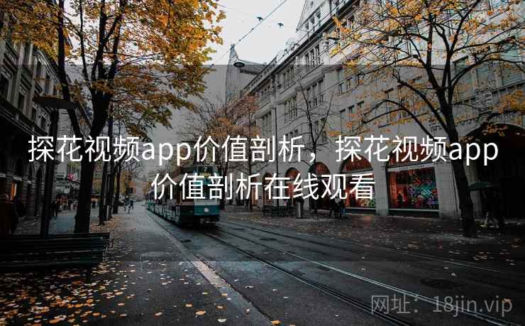探花视频app价值剖析，探花视频app价值剖析在线观看