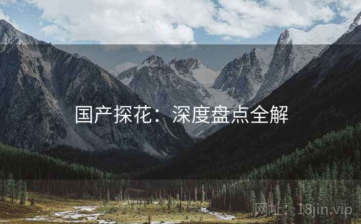 国产探花：深度盘点全解