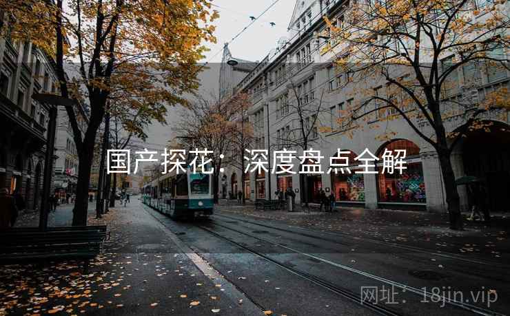 国产探花：深度盘点全解