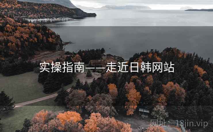 实操指南——走近日韩网站
