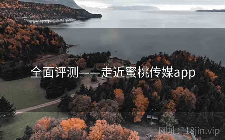 全面评测——走近蜜桃传媒app