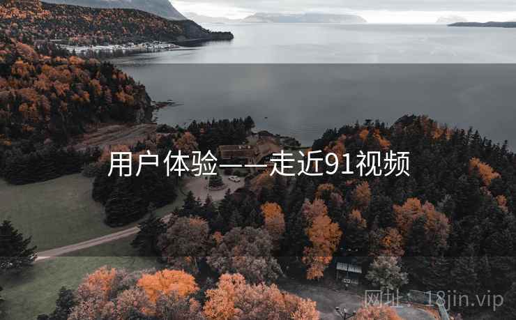 用户体验——走近91视频