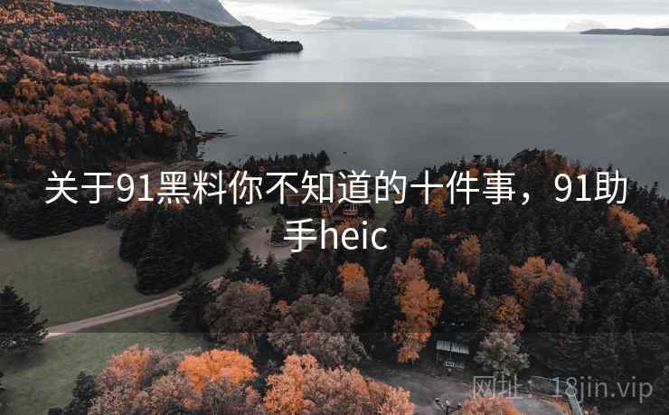 关于91黑料你不知道的十件事，91助手heic