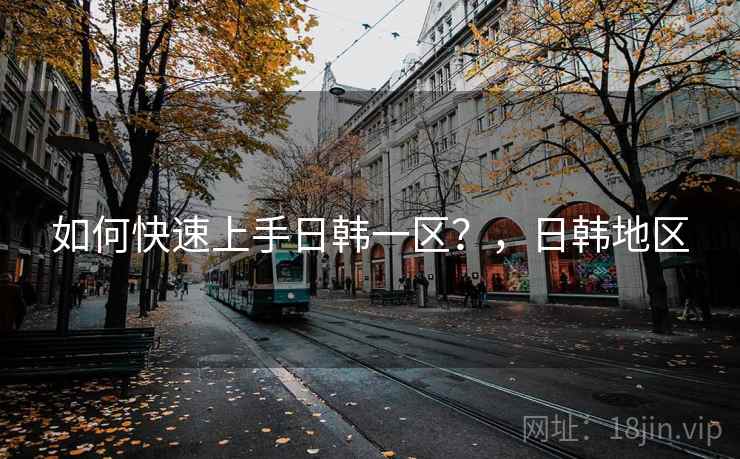如何快速上手日韩一区？，日韩地区