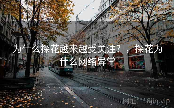 为什么探花越来越受关注？，探花为什么网络异常