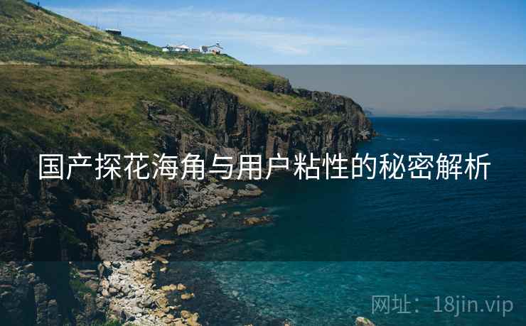 国产探花海角与用户粘性的秘密解析
