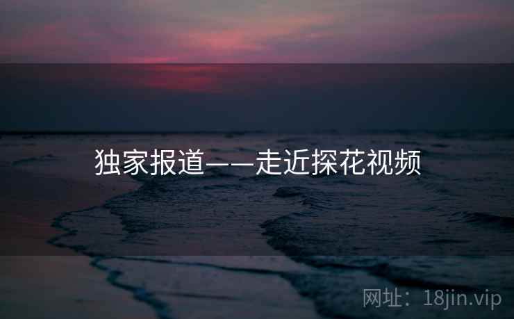 独家报道——走近探花视频
