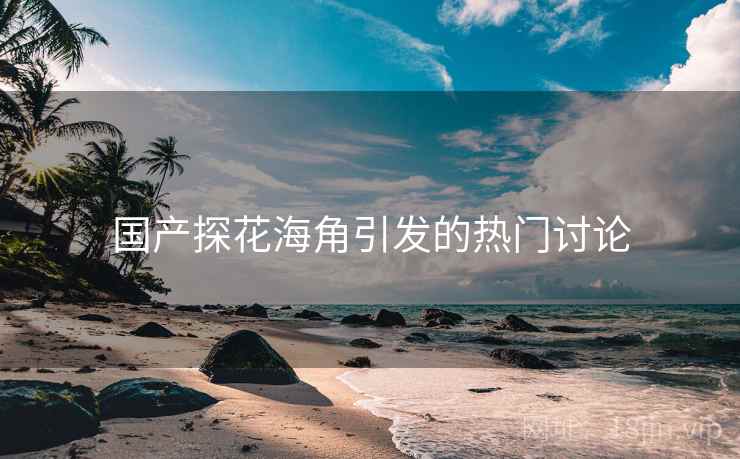 国产探花海角引发的热门讨论