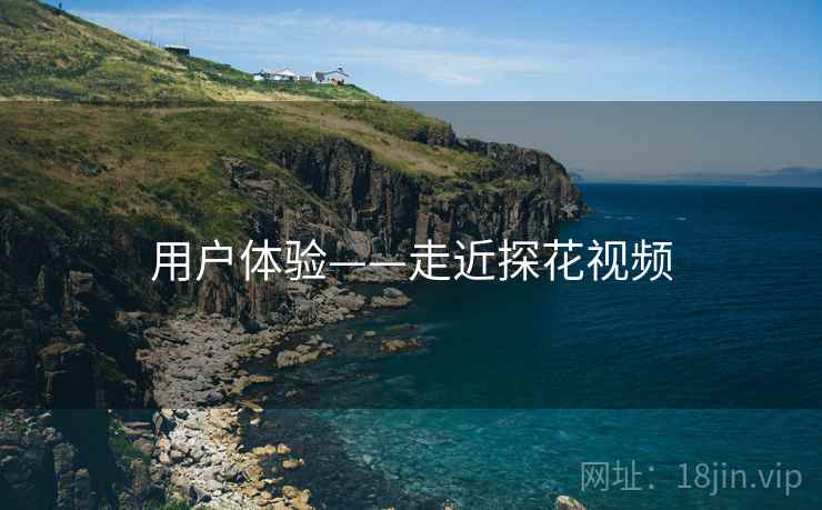 用户体验——走近探花视频