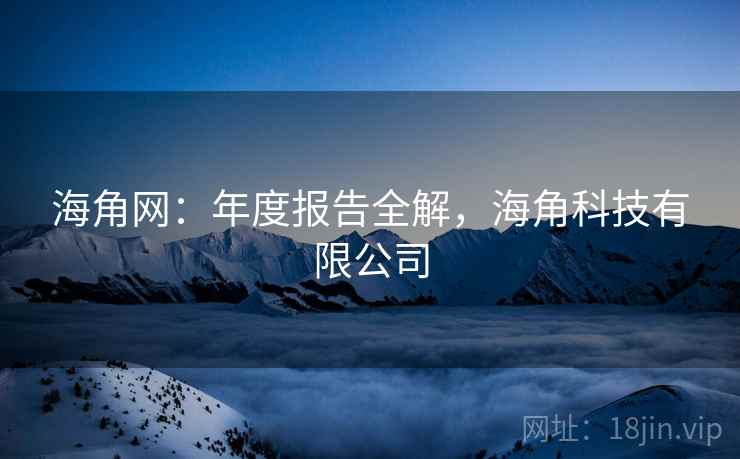 海角网：年度报告全解，海角科技有限公司