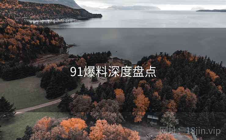 91爆料深度盘点