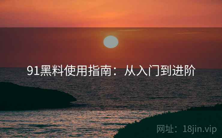 91黑料使用指南：从入门到进阶