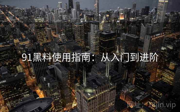 91黑料使用指南：从入门到进阶