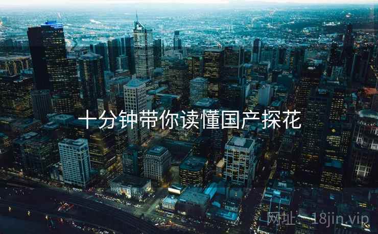 十分钟带你读懂国产探花