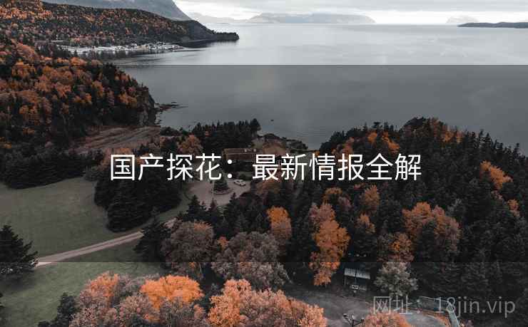 国产探花：最新情报全解