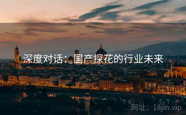 深度对话：国产探花的行业未来