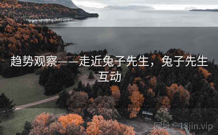 趋势观察——走近兔子先生，兔子先生互动