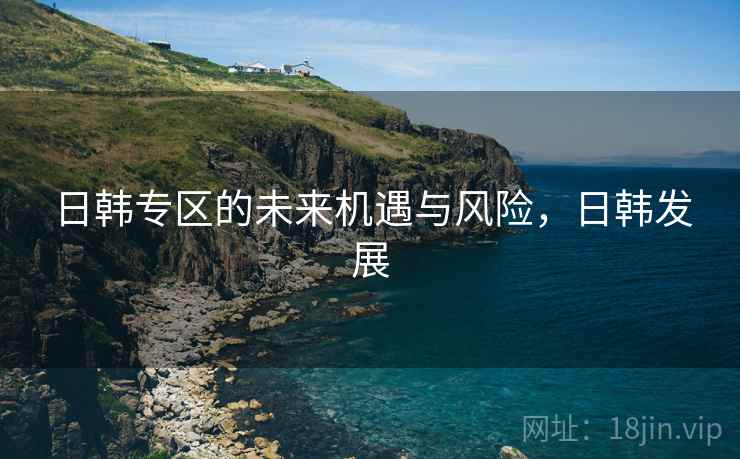 日韩专区的未来机遇与风险，日韩发展