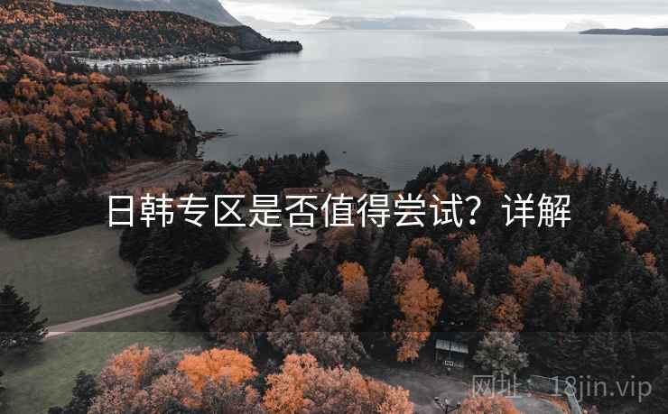 日韩专区是否值得尝试？详解