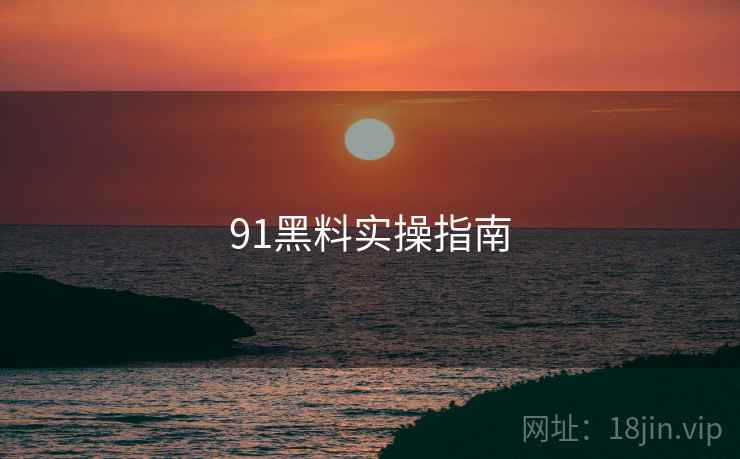 91黑料实操指南