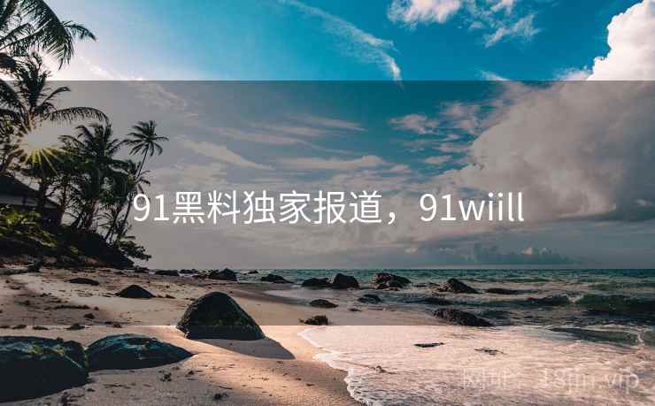 91黑料独家报道，91wiill