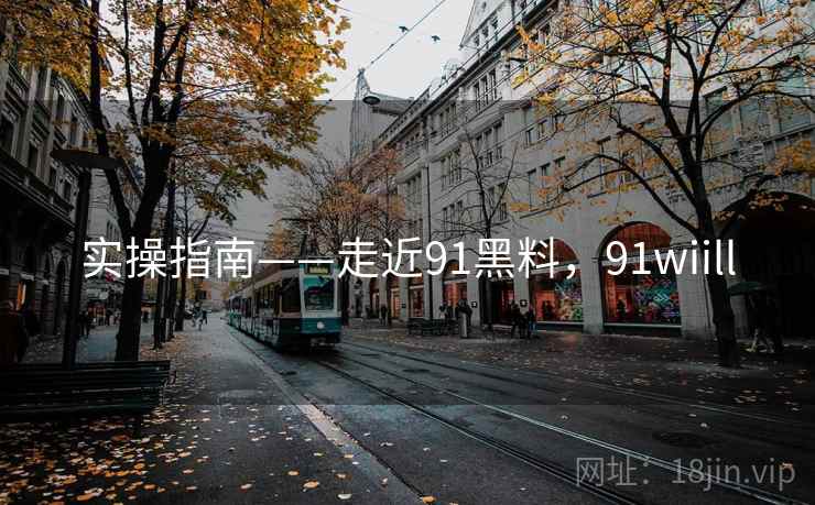 实操指南——走近91黑料，91wiill